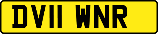 DV11WNR