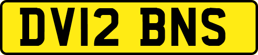 DV12BNS