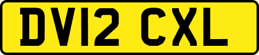 DV12CXL