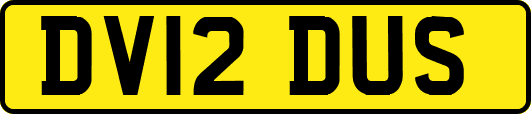 DV12DUS