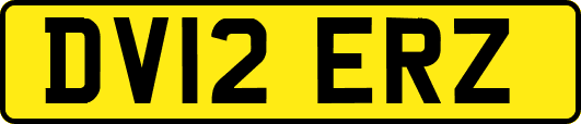 DV12ERZ