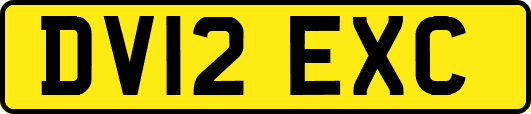 DV12EXC