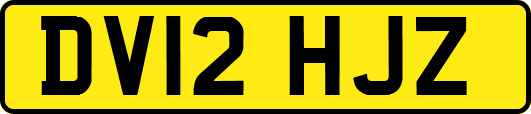DV12HJZ
