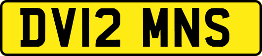 DV12MNS