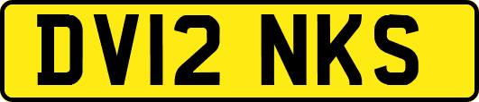 DV12NKS