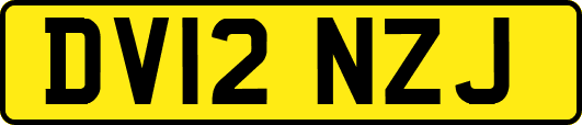 DV12NZJ