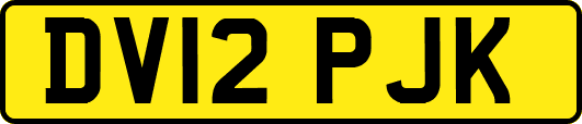 DV12PJK