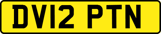 DV12PTN