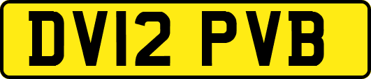 DV12PVB