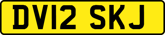 DV12SKJ