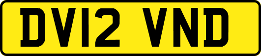 DV12VND