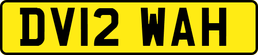 DV12WAH