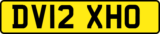 DV12XHO