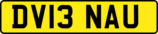 DV13NAU