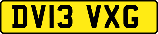 DV13VXG