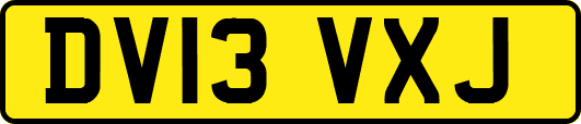 DV13VXJ