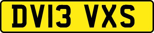 DV13VXS
