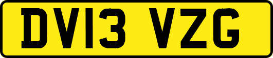 DV13VZG