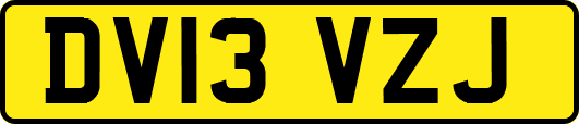 DV13VZJ