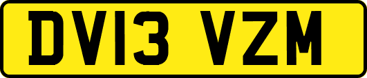 DV13VZM