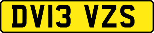 DV13VZS