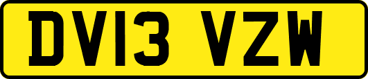 DV13VZW