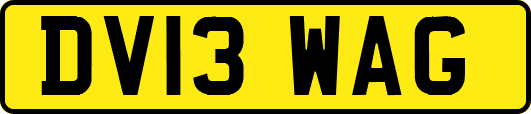 DV13WAG