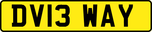 DV13WAY