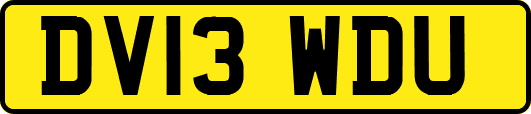 DV13WDU