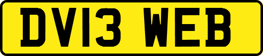 DV13WEB