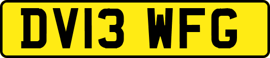 DV13WFG