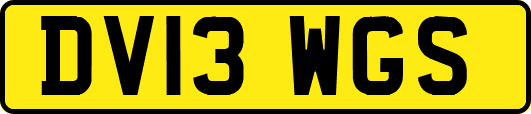 DV13WGS