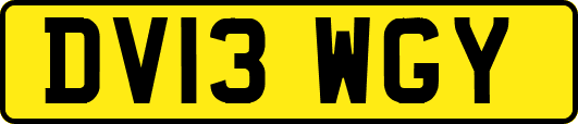 DV13WGY