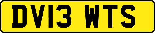 DV13WTS