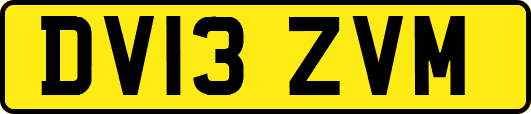 DV13ZVM