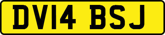 DV14BSJ