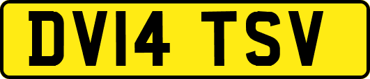 DV14TSV