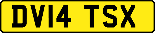 DV14TSX