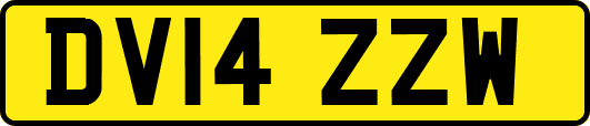 DV14ZZW
