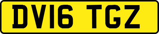 DV16TGZ