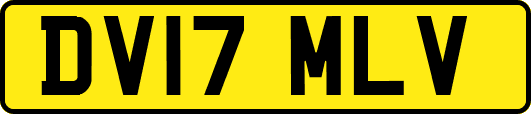 DV17MLV