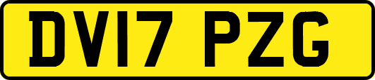 DV17PZG