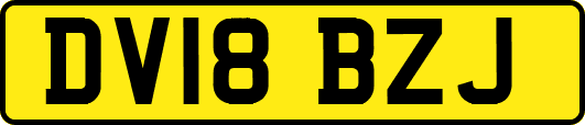 DV18BZJ