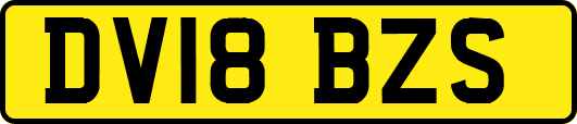 DV18BZS