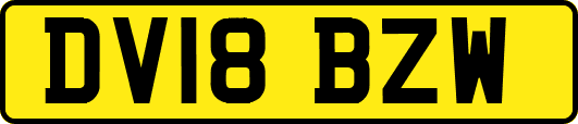DV18BZW
