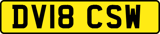 DV18CSW