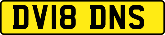 DV18DNS
