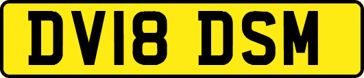 DV18DSM