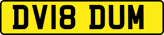 DV18DUM
