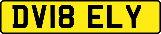 DV18ELY